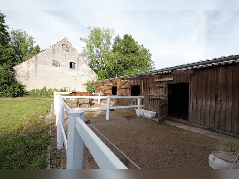 kleine Reitanlage mit neuem Energiesparhaus
