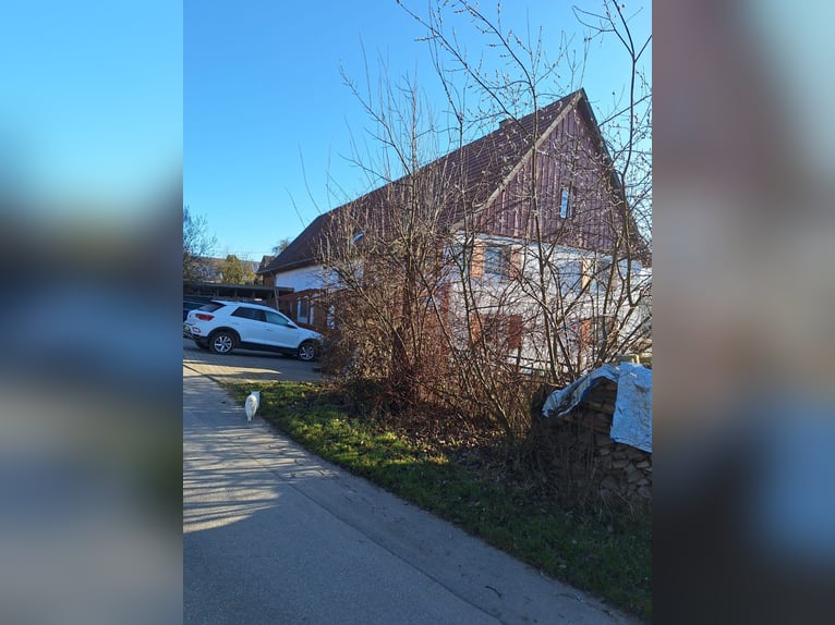 Kleiner Pferdehof in der Nähe vom Bodensee zu verk.