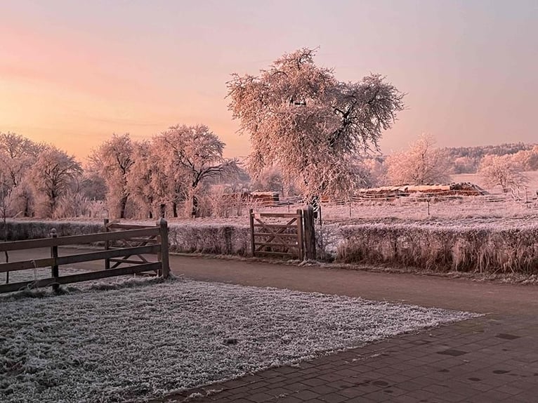 Kleinod im Altmühltal – Hochwertig saniertes Bauernhaus mit kleiner, moderner Reitanlage V13978