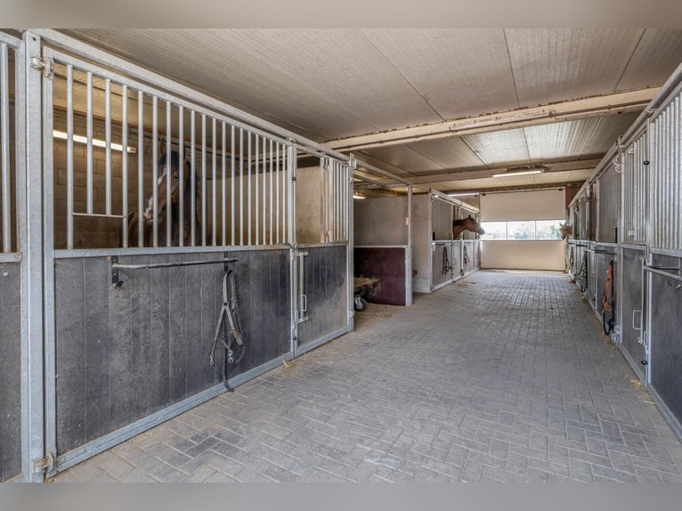 Kompakte Reitanlage mit unverbauten Blick auf die ländliche Umgebung!