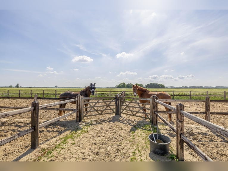 Kompakte Reitanlage mit unverbauten Blick auf die ländliche Umgebung!