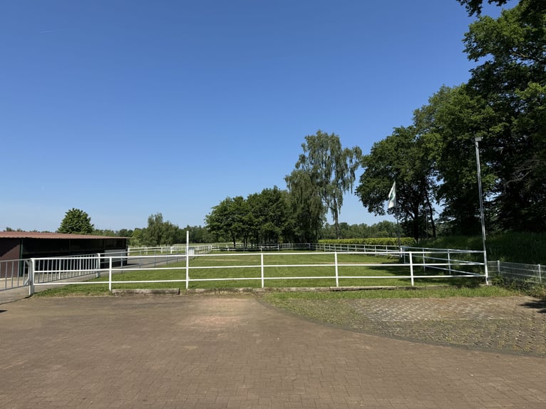 Kompakte Reitsportanlage im Herzen von Ostwestfalen-Lippe