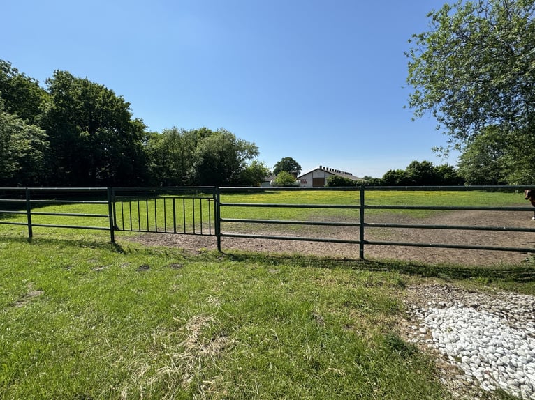 Kompakte Reitsportanlage im Herzen von Ostwestfalen-Lippe