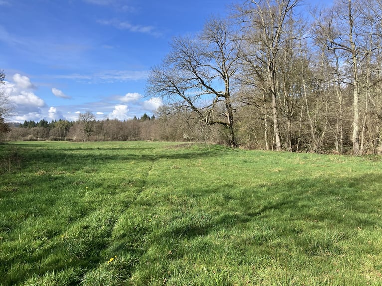 Komplett einsatzbereiter Reitstall!