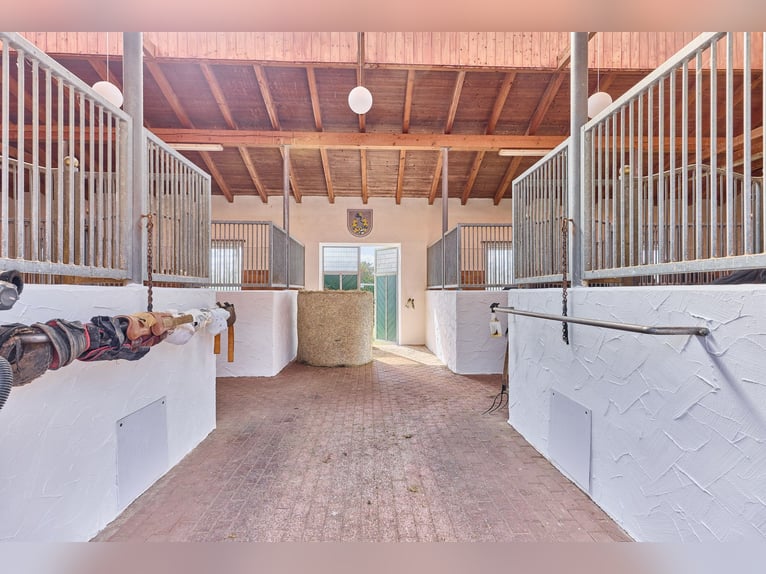 Landhaus in Bayern mit hochwertiger & privat genutzter Reitanlage inklusive Reithalle!