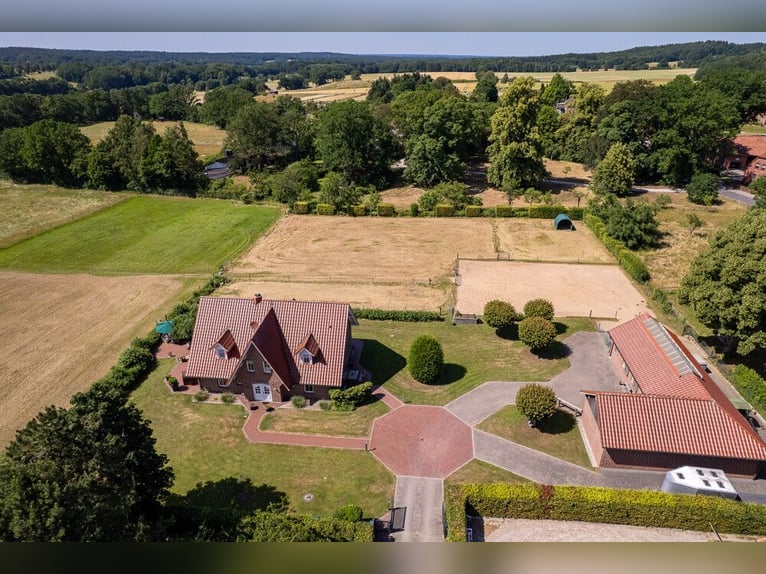 Landhaus mit Pferdehaltung – stilvolles Wohnen, hochwertige Stallanlage