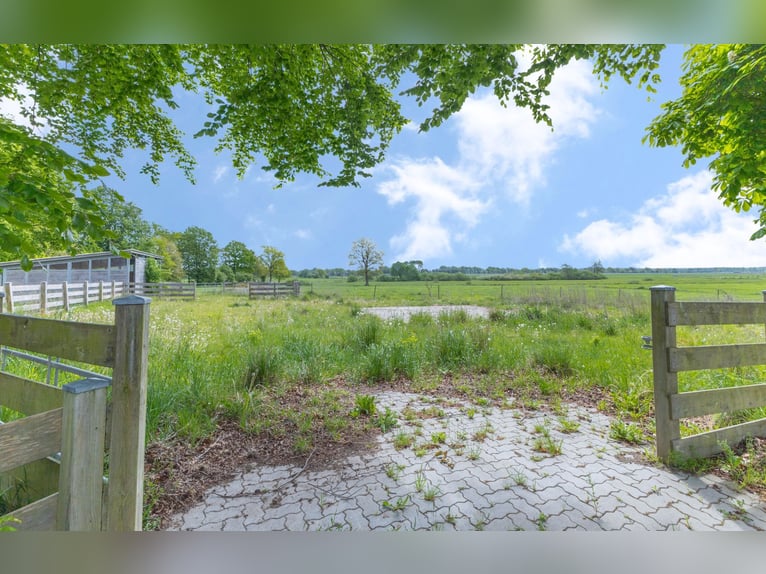 Landliebe pur – großzügiges Anwesen in ruhiger Alleinlage mit ca. 7,5 ha arrondierten Grünflächen