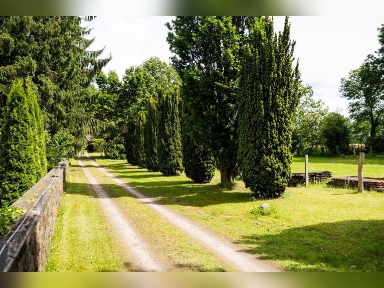 LANDSITZ MIT TORHAUS, 2 BAUPLÄTZE UND WEIDEFLÄCHEN IN DER LÜNEBURGER HEIDE