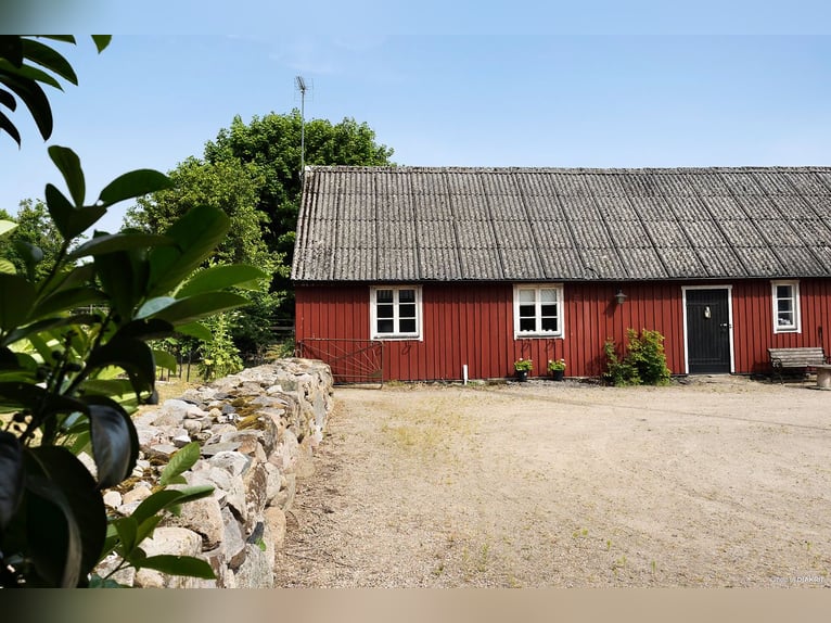 Lebe den Traum am Tor zu Österlen – Reiterhof, Hirschgehege, Fluss.