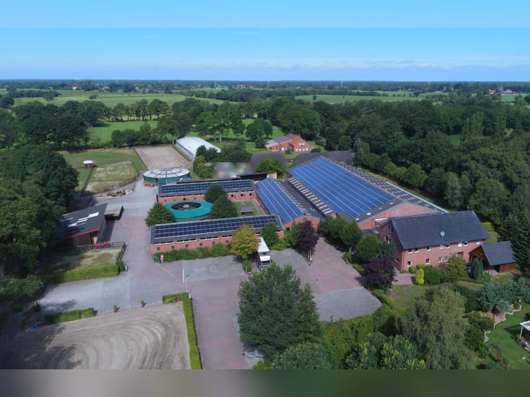 Lukrat Reitanlage, Investoren! Halle 25x60mtr., 2. Anlage Bau.Genehm, neue 177PV-A,  kernsaniert2025