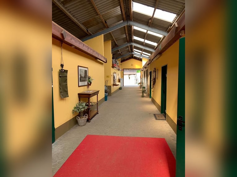 Lukrat Reitanlage, Investoren! Halle 25x60mtr., 2. Anlage Bau.Genehm, neue 177PV-A,  kernsaniert2025