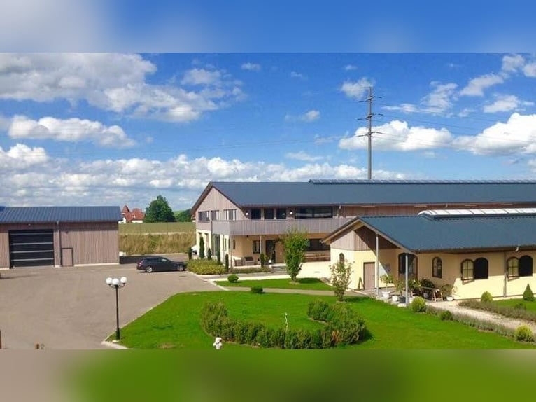 **Luxuriöses Pferdeanwesen in bester Lage** - Schweiz