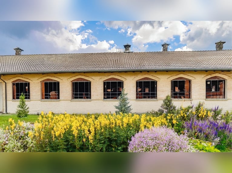 **Luxuriöses Pferdeanwesen in bester Lage** - Schweiz