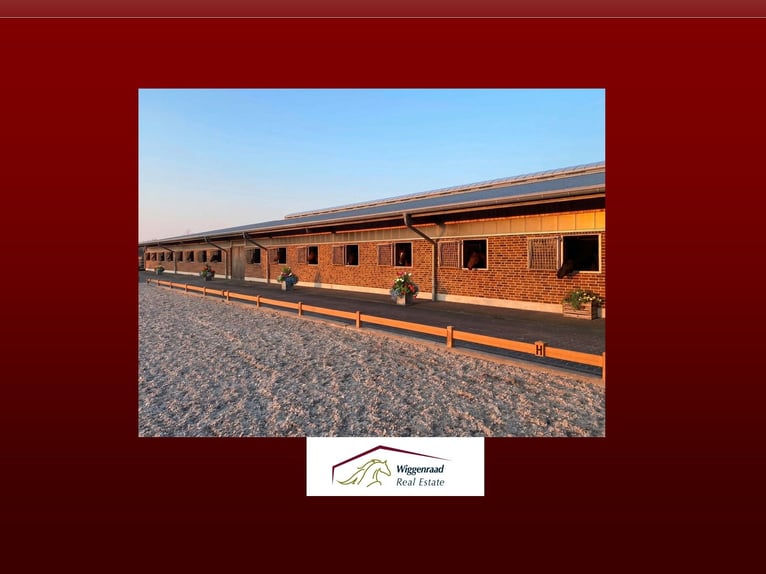 Moderne, Profi Reitanlage mit Privatspäre nähe Deutschland, NL