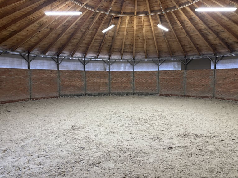 Moderne Reitanlage zu verkaufen