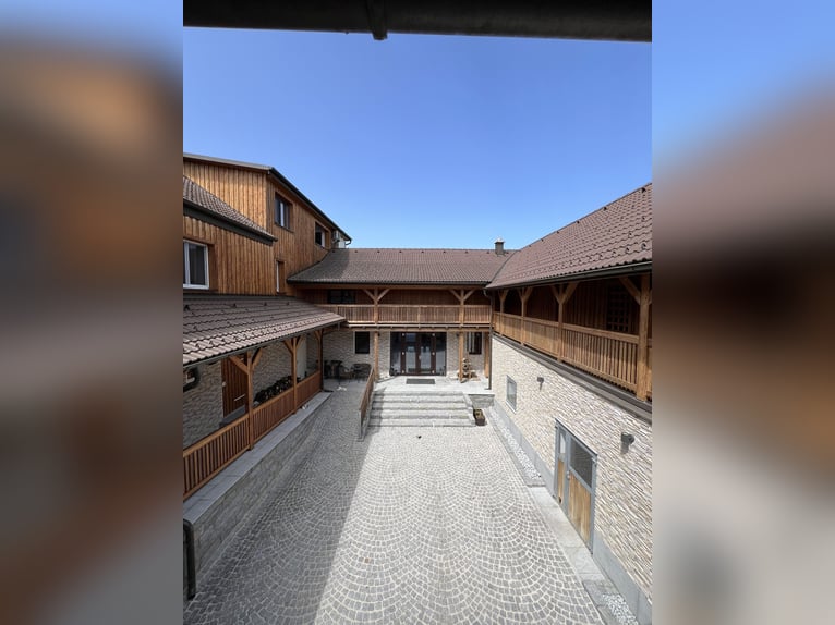 Moderner Vierkanthof mit vielen Möglichkeiten