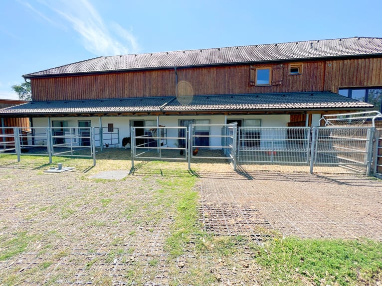 Moderner Vierkanthof mit vielen Möglichkeiten