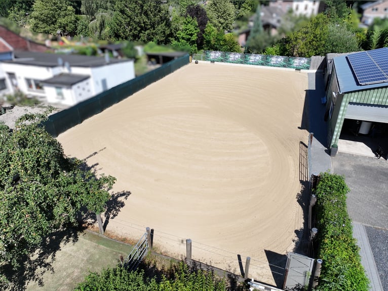 Modernes Wohnhaus mit kleiner Reitanlage in Wassenberg