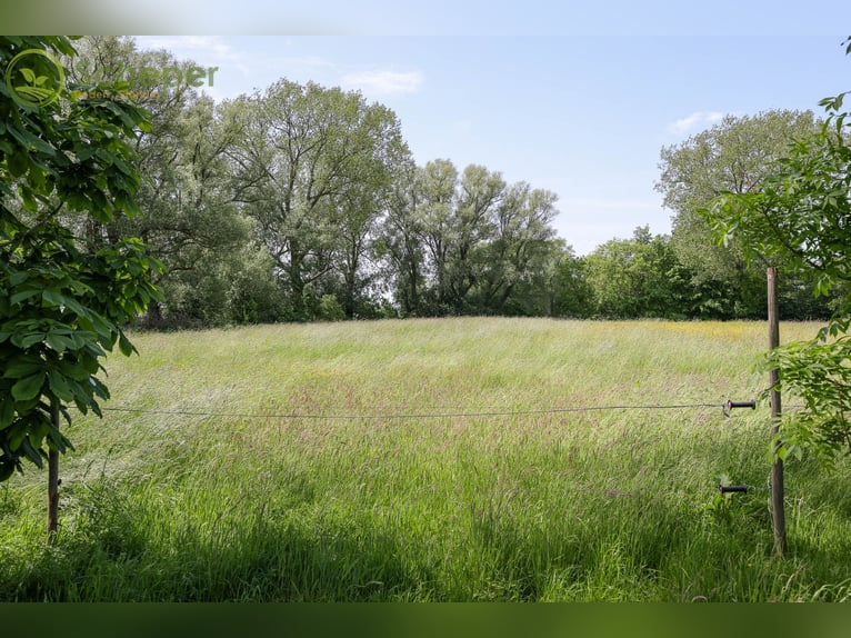 Modernisierter Resthof in Belum-Kehdingbruch mit Grünland und optional 28 ha Ackerland