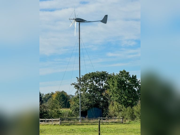 Paradies für Pferdeliebhaber: Reetdachanwesen auf ca. 3,38 ha großen Grundstück mit Nebengebäuden