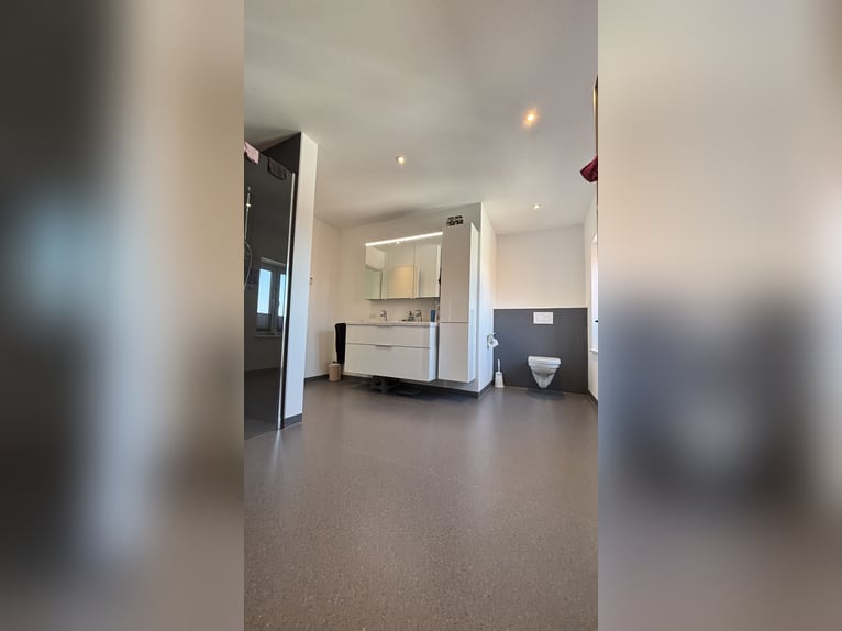 Pferdeanlage mit energetisch renoviertem Haus - Süddänemark nahe Flensburg ,46400qm