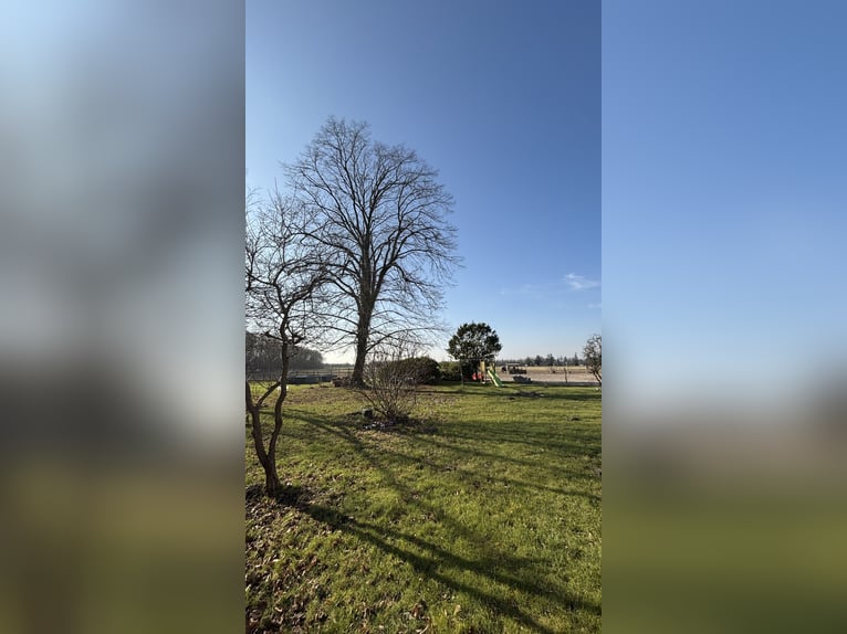 Pferdeanlage mit energetisch renoviertem Haus - Süddänemark nahe Flensburg ,46400qm