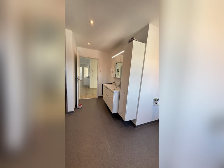 Pferdeanlage mit energetisch renoviertem Haus - Süddänemark nahe Flensburg ,46400qm