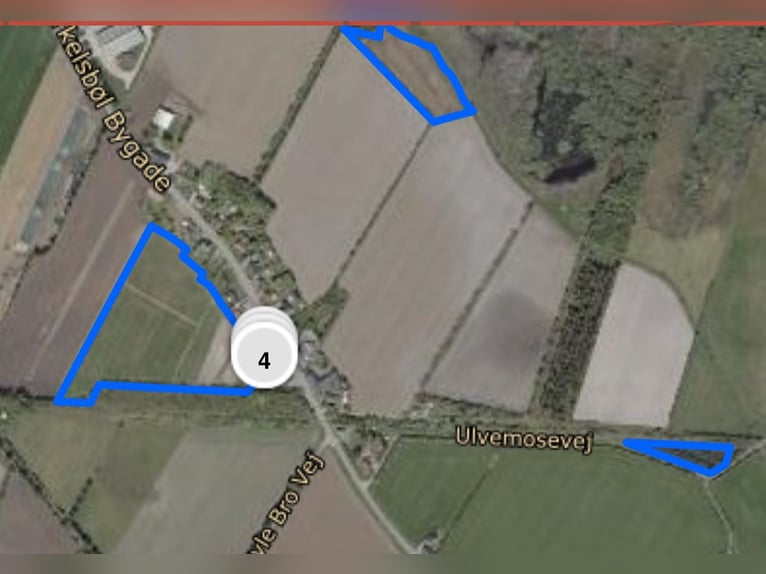 Pferdeanlage mit energetisch renoviertem Haus - Süddänemark nahe Flensburg ,46400qm