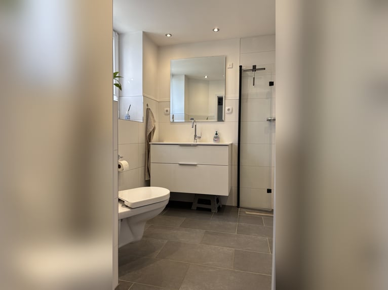 Pferdeanlage mit energetisch renoviertem Haus - Süddänemark nahe Flensburg ,46400qm