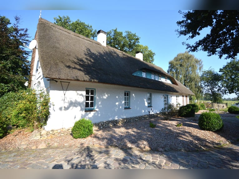 Pferdehof auf 5,7 ha! Traumhaftes Anwesen mit Reetdachhaus, Gästehaus & Stall i.d. Lüneburger Heide