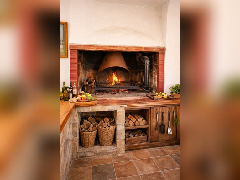 Pferdehof in La Marina, Alicante, in der Nähe von (Met)