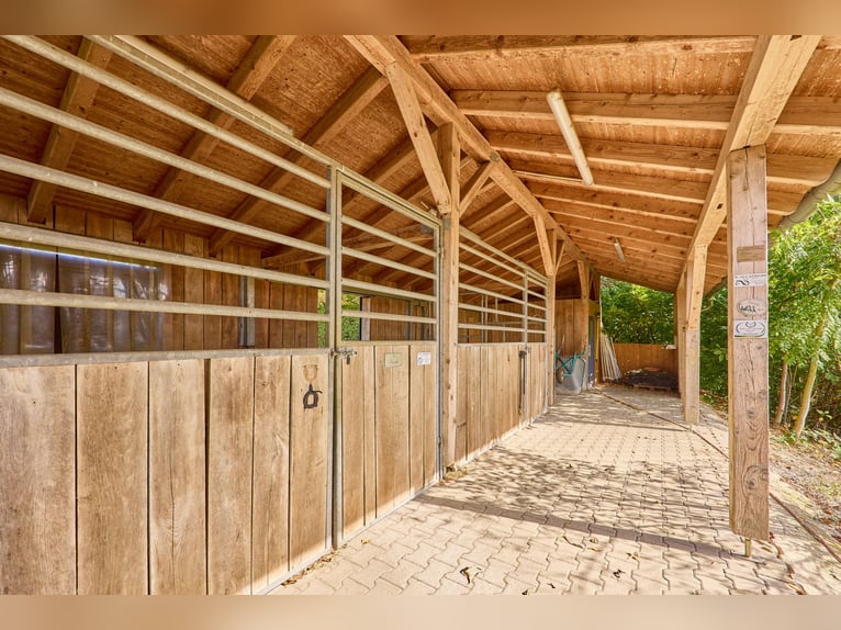 Pferdehof in Niederbayern inklusive Reithalle, schickem Landhaus und beheiztem Pool!