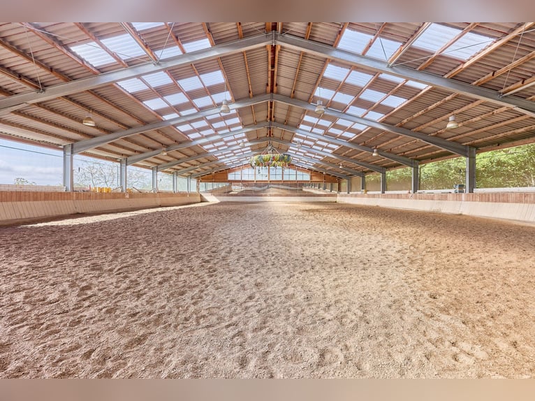 Pferdehof in Niederbayern inklusive Reithalle, schickem Landhaus und beheiztem Pool!