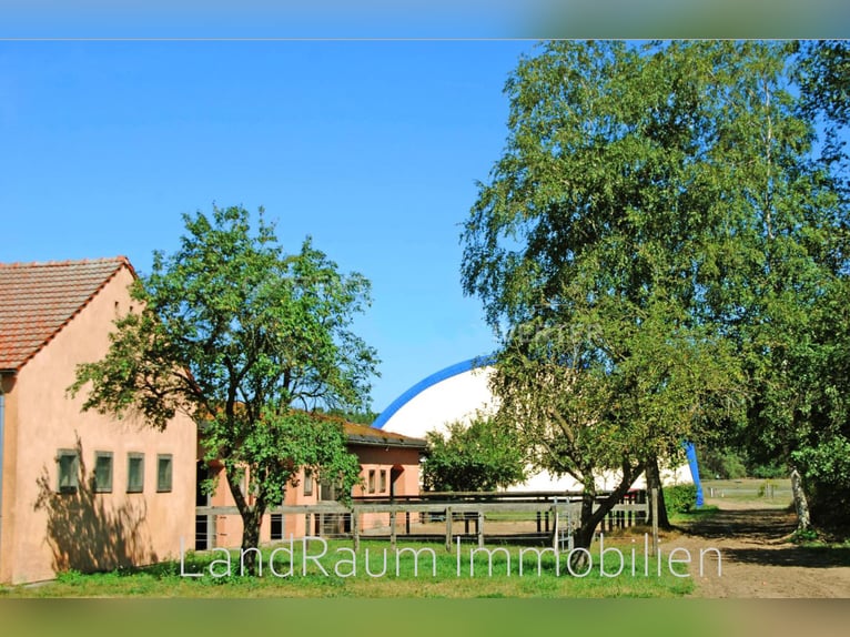 Pferdehof - Reitanlage, 4 FeWo, ca. 15 ha Land, Stallungen für 20+ Pferde, Eigentümerwohnung + 2 FW