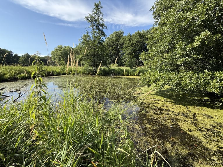Pferdehof und exklusives Anwesen 70 km südöstlich von Hamburg mit optional 30 ha Eigenland