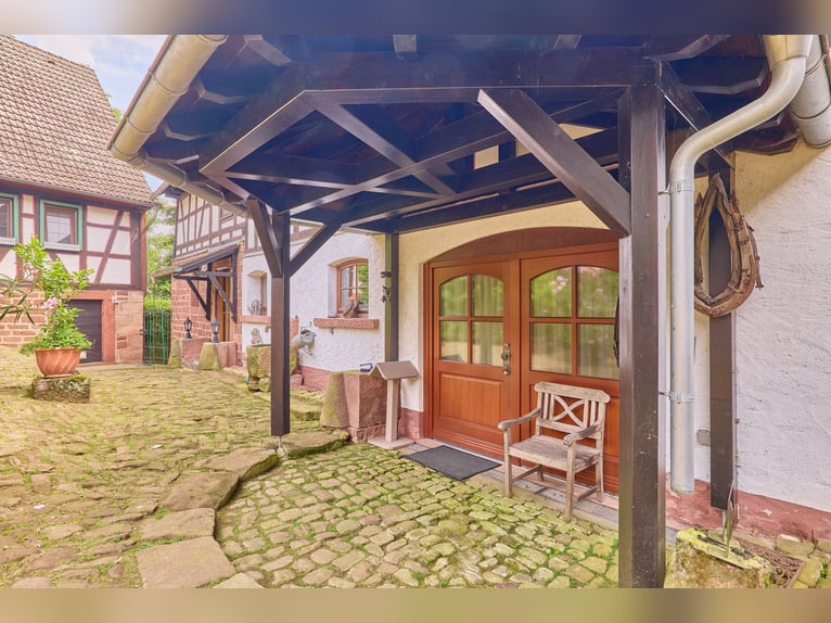 Pferdeimmobilie im Odenwald – Leben und Arbeiten in ländlicher Idylle von Erbach!