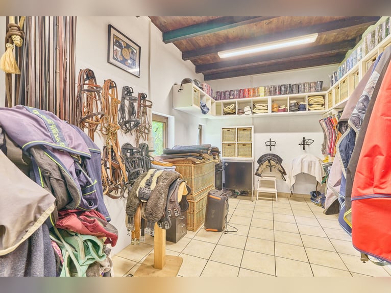 Pferdeimmobilie im Odenwald mit zwei Wohnhäusern & Platz für 5-10 Pferde!