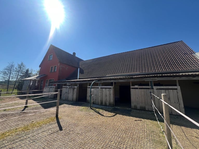 Pferdeparadies - romantischer Reiterhof mit Reithalle, 6 Boxen & Wohnhaus