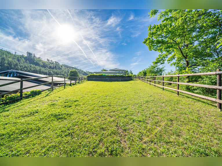Private Reitanlage mit historischem Wohngebäude in idyllischer Lage
