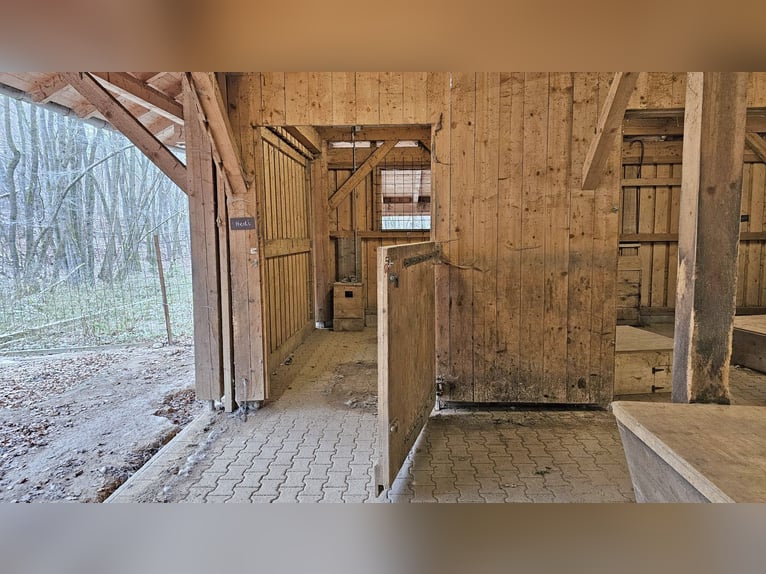 Privates Anwesen, ruhig im Grünen in Alleinlage gelegen, ideal für Pferde- und Naturfreunde