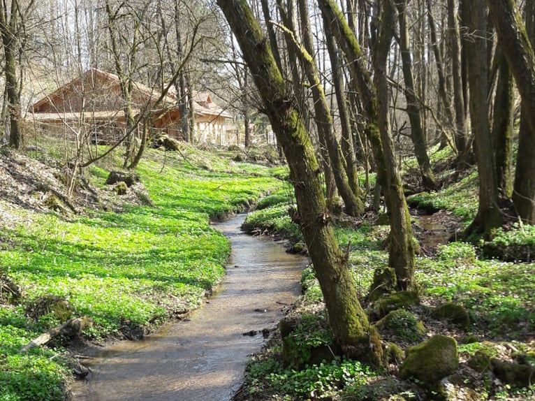 Privates Anwesen, ruhig im Grünen in Alleinlage gelegen, ideal für Pferde- und Naturfreunde