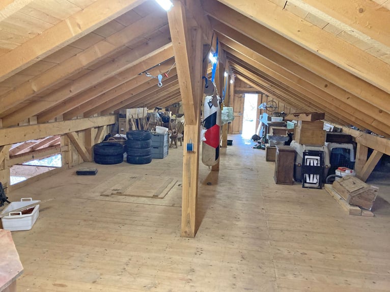 Privates Anwesen, ruhig im Grünen in Alleinlage gelegen, ideal für Pferde- und Naturfreunde