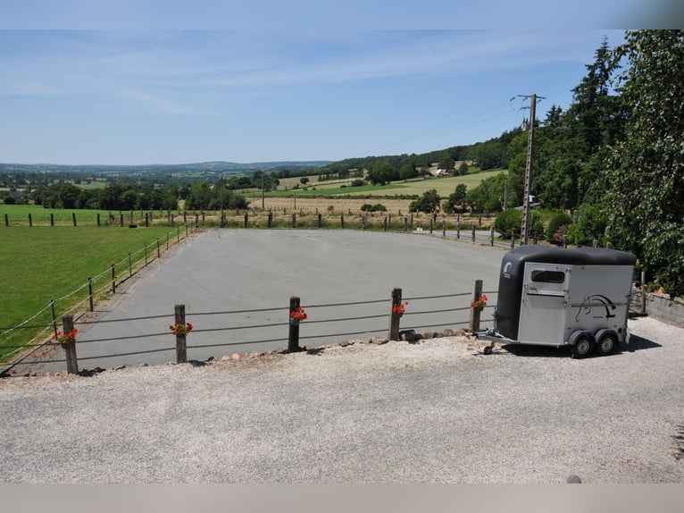 Privates, hochwertiges Reiterhofgrundstück