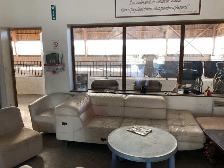 Professioneller Reitstall in Seine-et-Marne