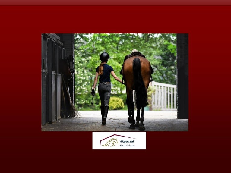 Professionelles Reitsportzentrum NRW