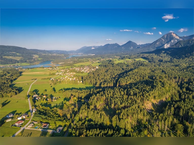 Rarität für Pferdefreunde - paradiesisches Landgut