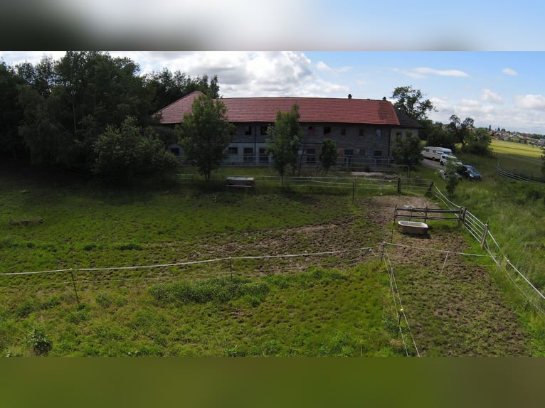 Rarität im OÖ Salzkammergut,  Nähe Gmunden, Österreich 