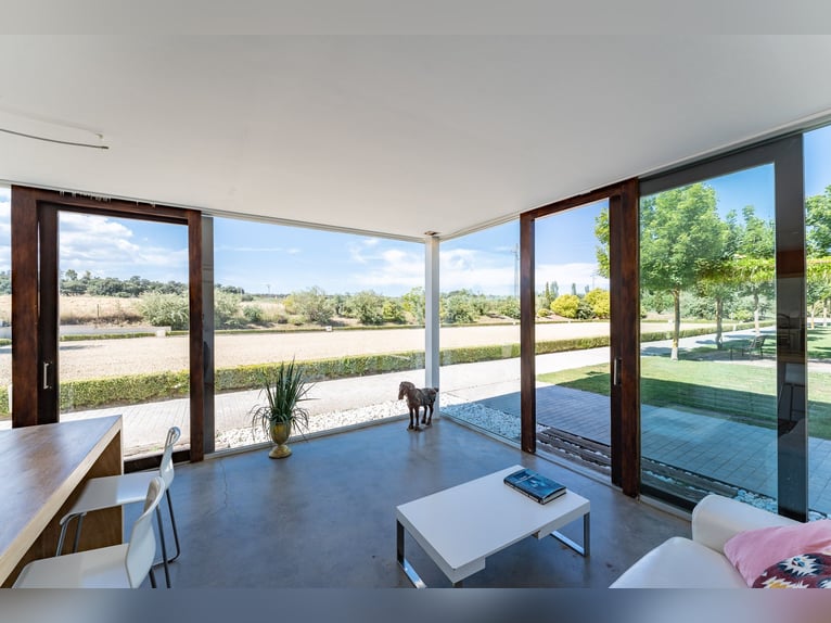 Ref2527 Andalusien, Ronda - moderner Reitstall/ Trainingszentrum zu verkaufen!