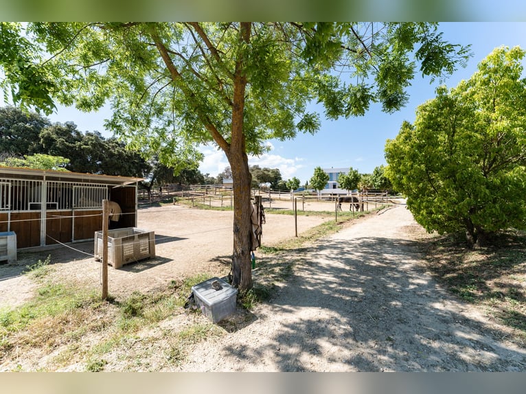 Ref2527 Andalusien, Ronda - moderner Reitstall/ Trainingszentrum zu verkaufen!