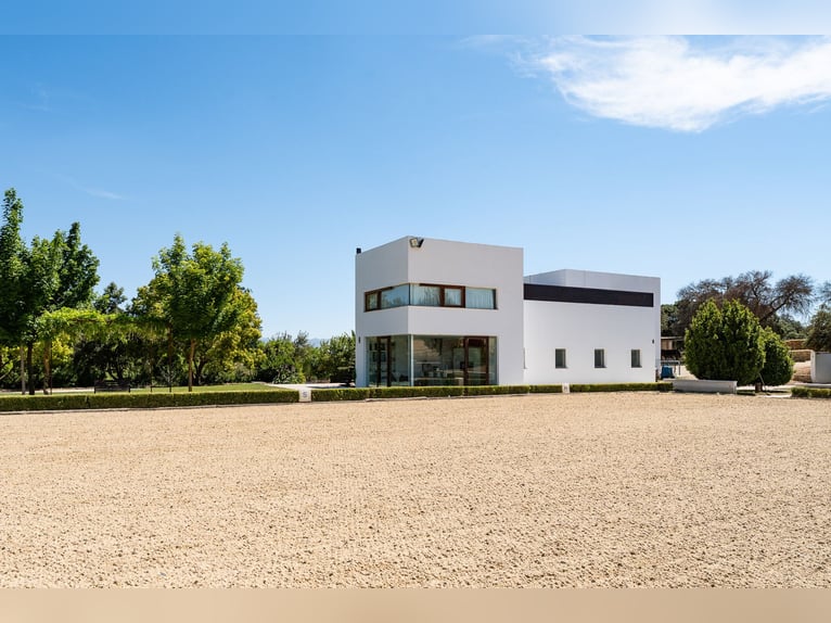 Ref2527 Andalusien, Ronda - moderner Reitstall/ Trainingszentrum zu verkaufen!